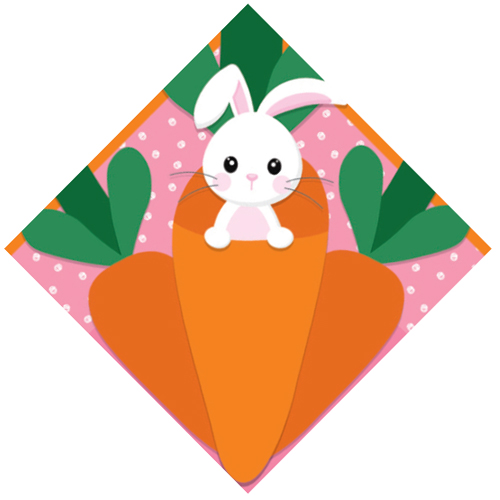 Express Para Ovo Estampado 39x39cm Carrot Rosa - 25 Un