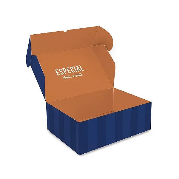 Kit Caixa Retangular Realce Polo G 30x20x11,5cm - 10 Un