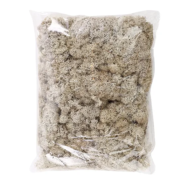 Musgo Decorativo Permanente 250g Natural - 1 Un