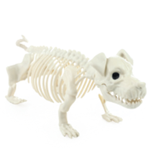 Esqueleto Cachorro Decoração Halloween 16cm - 1 Un