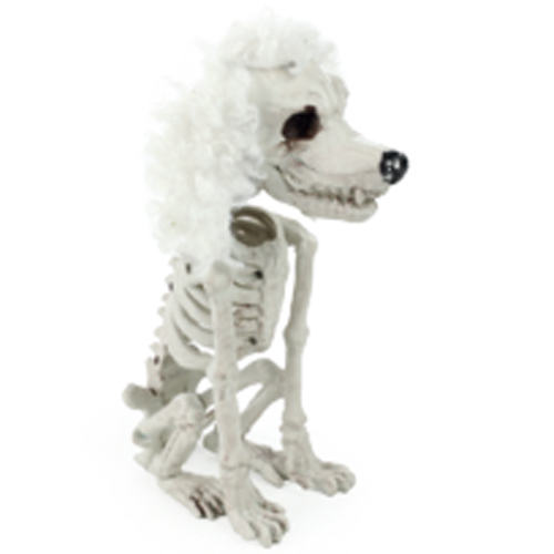 Esqueleto Cachorro Poodle Decoração Halloween 25cm - 1 Un