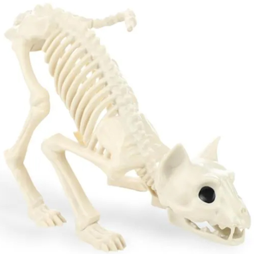 Esqueleto Gato Decoração Halloween 18cm - 1 Un