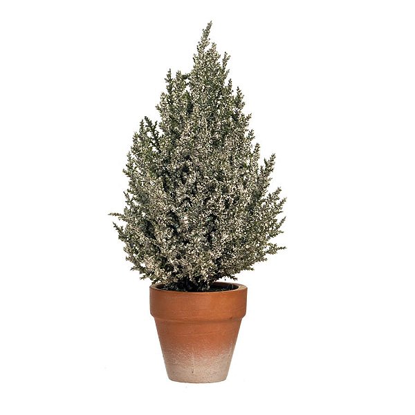 Árvore de Natal Pequena - Pinheiro de Natal Verde Claro e Branco Tamanho P
