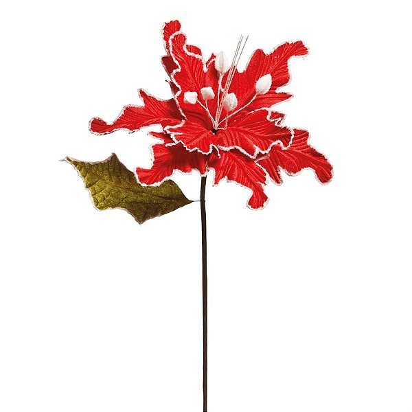 Flor Vermelho (Flores Cabo Médio)