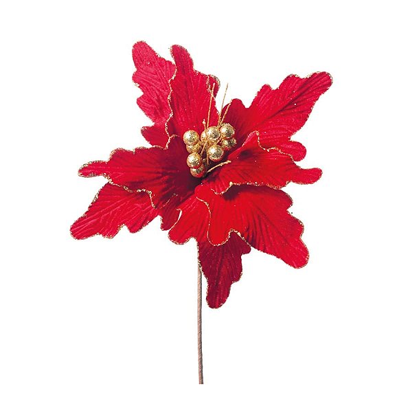 Poinsettia Vermelho e Ouro (Flores Cabo Médio)