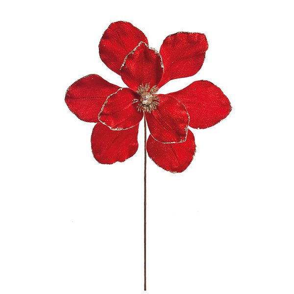 Magnolia Vermelho e Ouro (Flores Cabo Médio)