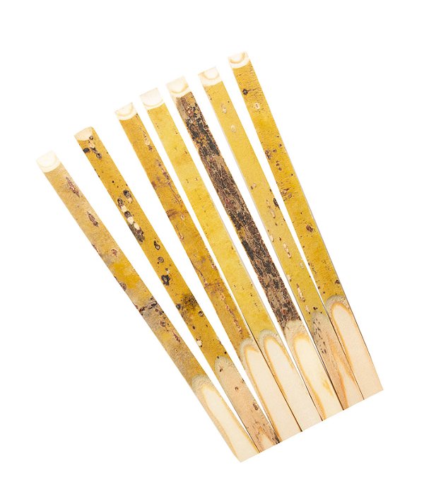 Palito em Bambu Para Petiscos 12cm - HA252 - 20 Un