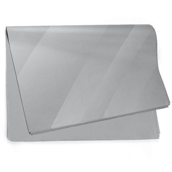Folha Sujinho 49x69cm Liso Prata - 50 Un