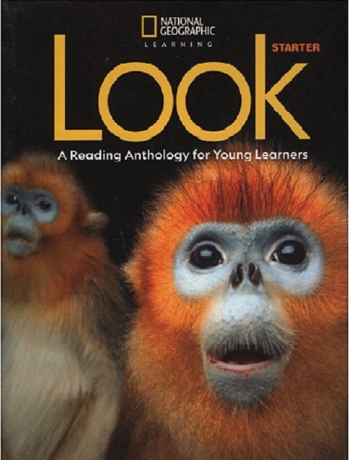 Look American Starter - Anthology..-