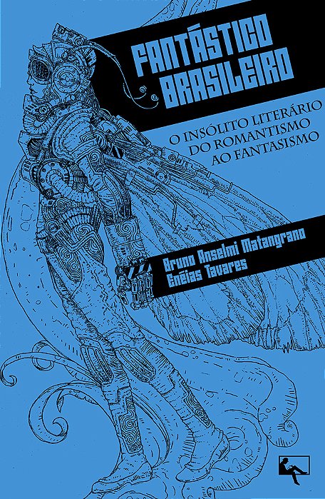 Fantástico Brasileiro O Insólito Literário Do Romantismo Ao Fantasismo..-