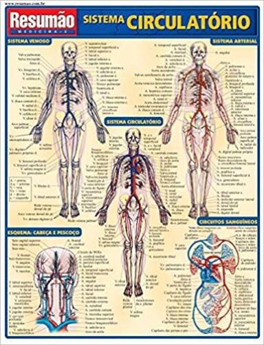 Resumão - Sistema Circulatório