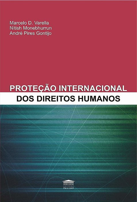 Proteção Internacional Dos Direitos Humanos..-
