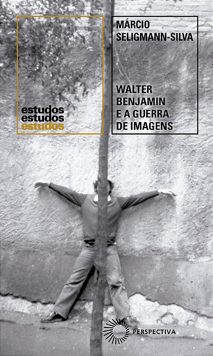 Walter Benjamin E A Guerra De Imagens..-