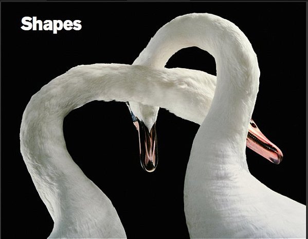 Shapes
