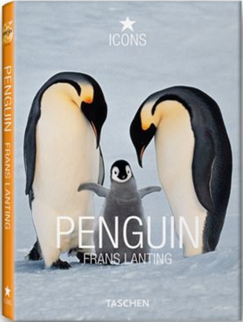 Penguins