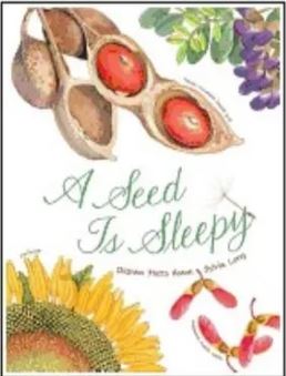 A Seed Is Sleepy