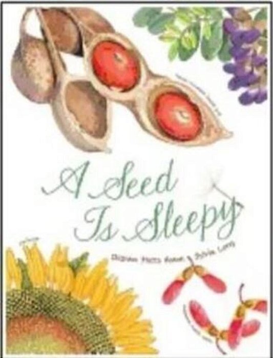 A Seed Is Sleepy-..