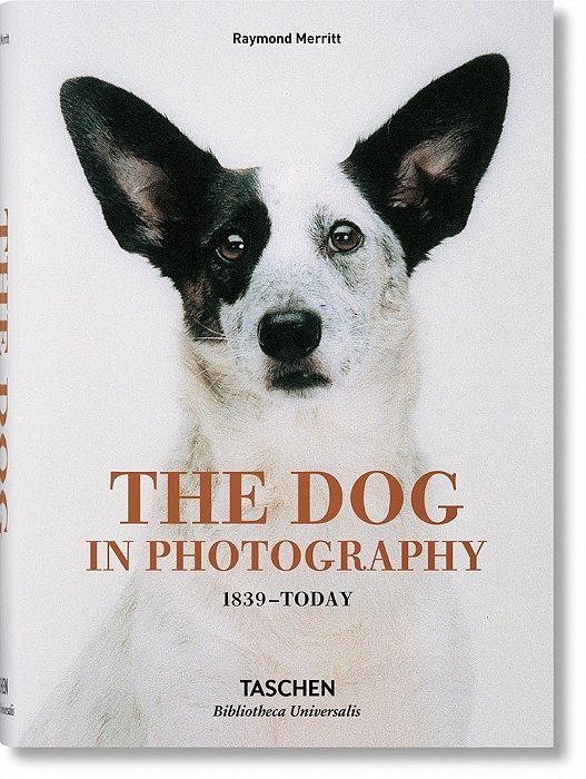 The Dog In Photography 1839 - Today