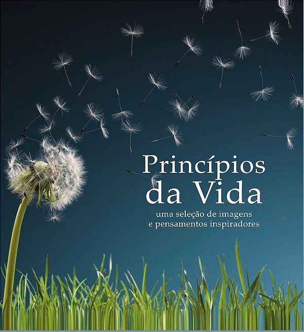 Coleção Pensamentos - Princípios Da Vida