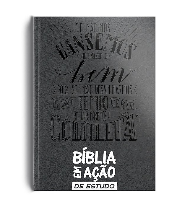 Bíblia Em Ação De Estudo - Versão Mensagem - Luxo Cinza