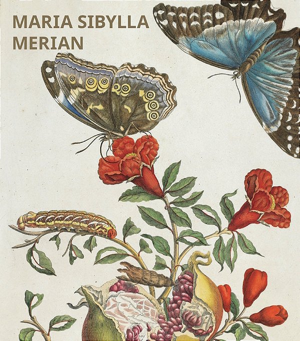 Portfolio Maria Sibylla Merian