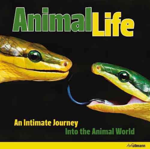 Animal Life An Intimate Journey Into The Aminal World