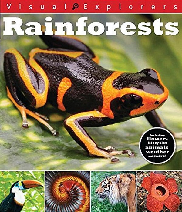 Rainforest (Visual Explorers)-..