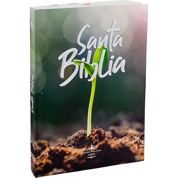 Biblia Misionera Súper Económica Y Llena De Recursos Espanhol