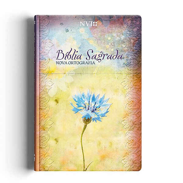 Bíblia Nvi Gigante - Fala Comigo, Jesus Novo Testamento Em Duas Cores