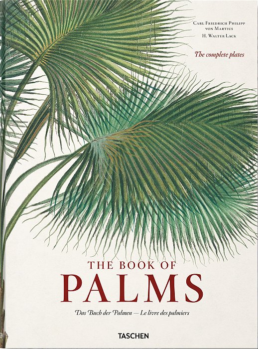 The Book Of Palms