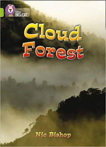 The Cloud Forest