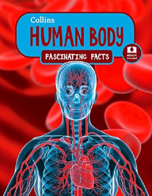 Human Body - Collins Fascinating Facts