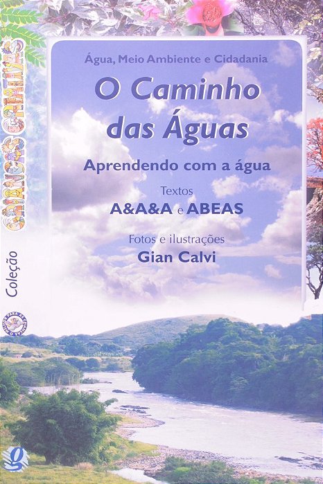 O Caminho Das Águas Aprendendo Com A Água
