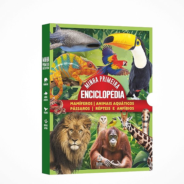 Coleção Minha Primeira Enciclopédia De Animais