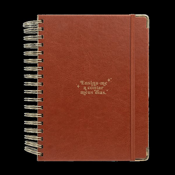 Meu Plano Perfeito, Capa Couro, Clássica | Planner 2024