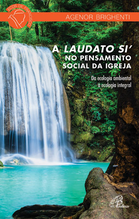 A Laudato Si' No Pensamento Social Da Igreja Da Ecologia Ambiental À Ecologia Integral