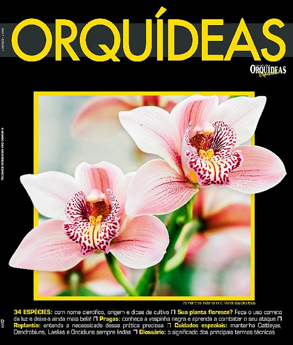 O Mundo Das Orquídeas Especial