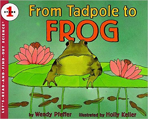 From Tadpole To Frog - Let'S-Read-and-find-out Science - Stage 1