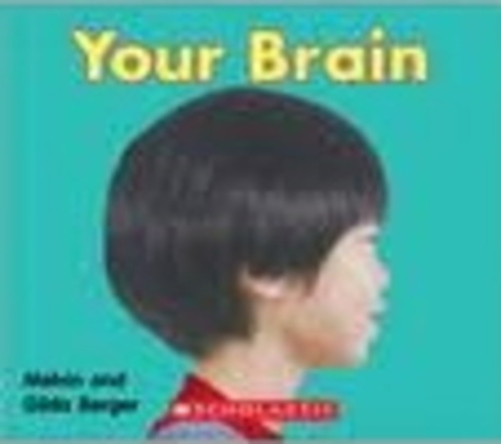 Your Brain