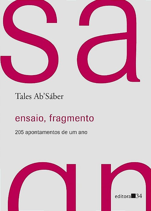 Ensaio, Fragmento - 205 Apontamentos De Um Ano