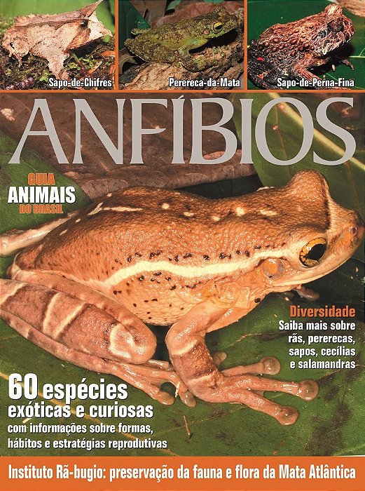 Animais Do Brasil - Anfíbios Instituto Rã-Bugio - Preservação Da Fauna E Flora Da Mata Atlântica