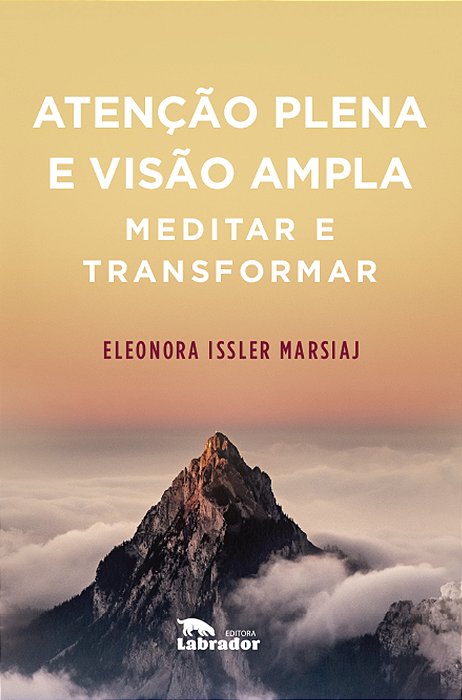 Atenção Plena E Visão Ampla
