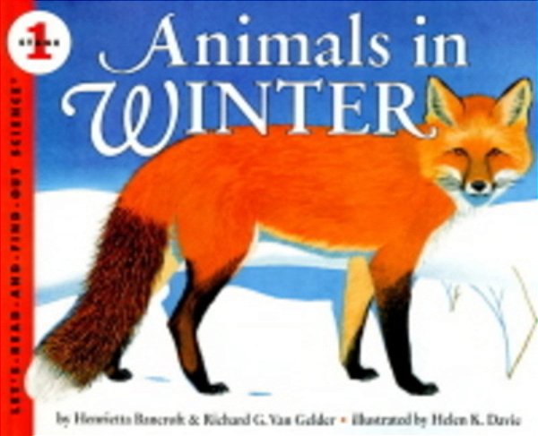 Animals In Winter - Paperback