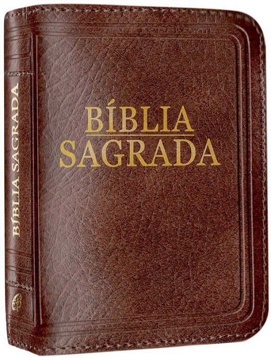 Bíblia Sagrada - Nova Tradução Na Linguagem De Hoje - (Bolso - Zíper Marrom)