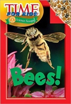 Bees! - Time For Kids
