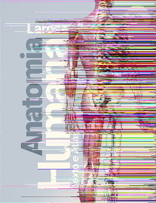 Anatomia Humana