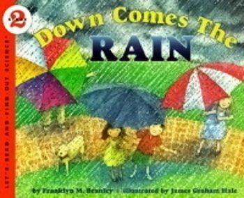Down Comes The Rain - Paperback