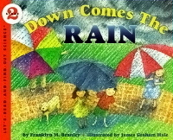 Down Comes The Rain - Paperback-..