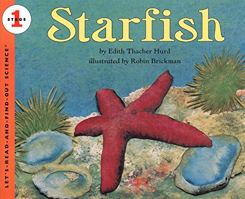 Starfish - Stage 1