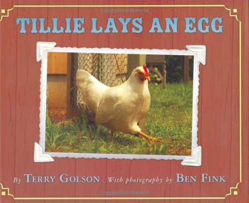 Tillit Lays An Egg - 4 A 8